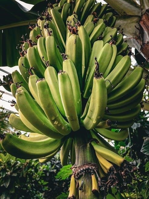 banana blast instructions